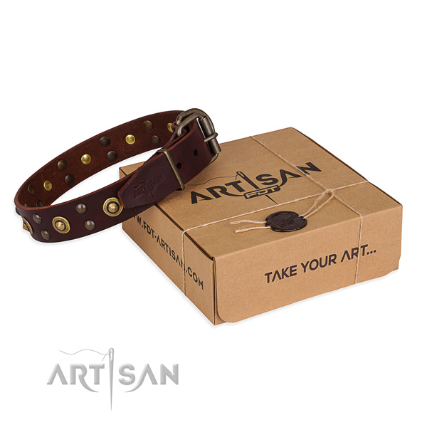 Reliable buckle on genuine leather collar for your handsome four-legged friend