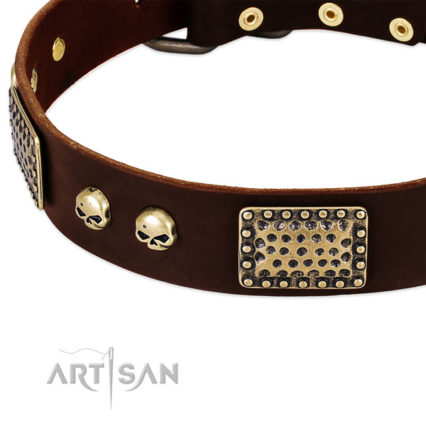 Corrosion proof embellishments on genuine leather dog collar for your pet