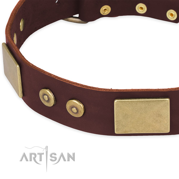 Genuine leather dog collar with adornments for comfortable wearing