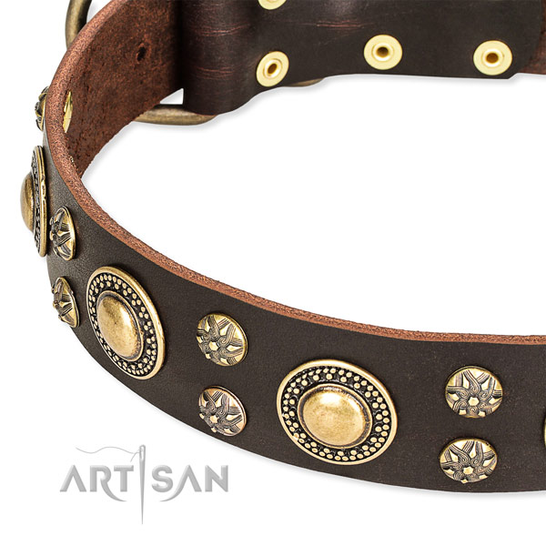 Everyday use studded dog collar of quality full grain genuine leather