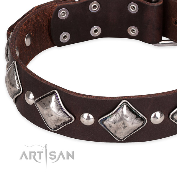 Comfy wearing adorned dog collar of finest quality full grain natural leather
