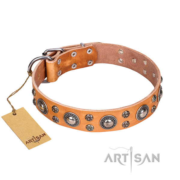 Comfortable wearing dog collar of durable natural leather with embellishments