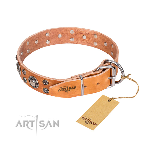 Daily use adorned dog collar of quality full grain natural leather