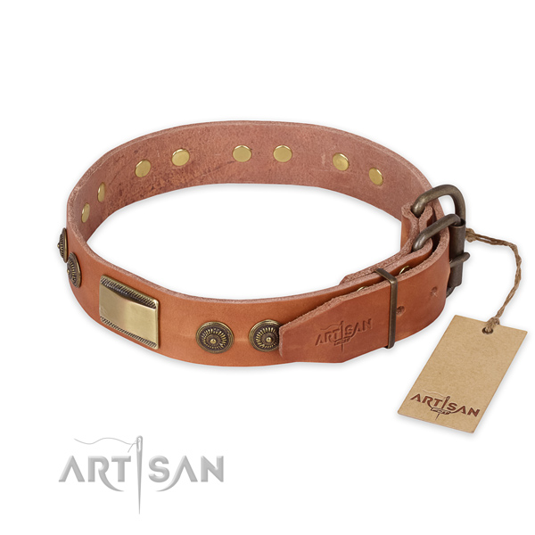 Strong traditional buckle on full grain leather collar for fancy walking your four-legged friend