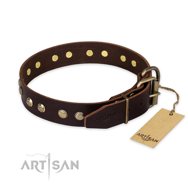Corrosion proof hardware on leather collar for your handsome pet