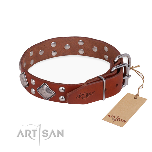Leather dog collar with stylish design rust resistant studs