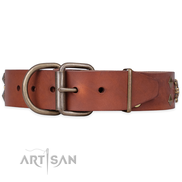 Basic training studded dog collar of high quality full grain genuine leather