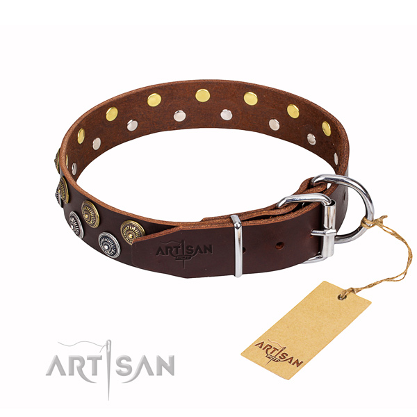 Fancy walking embellished dog collar of top notch natural leather