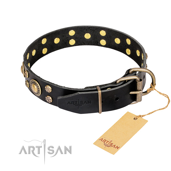 Daily walking studded dog collar of fine quality full grain genuine leather