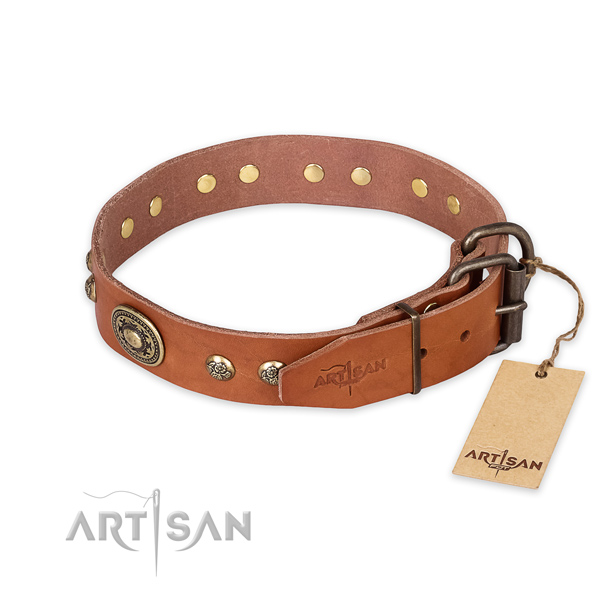 Rust-proof hardware on full grain natural leather collar for daily walking your pet