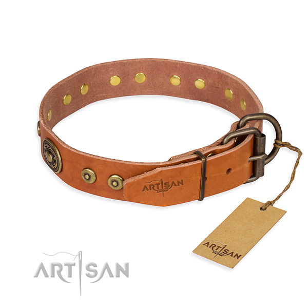 Full grain natural leather dog collar made of soft material with durable embellishments