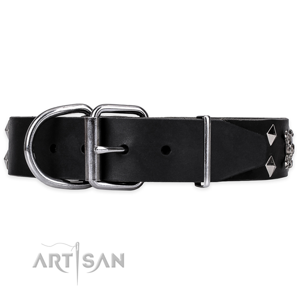 Everyday walking studded dog collar of top notch natural leather