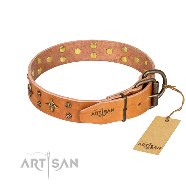 Basic training embellished dog collar of quality full grain natural leather