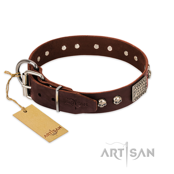 Rust resistant traditional buckle on comfy wearing dog collar