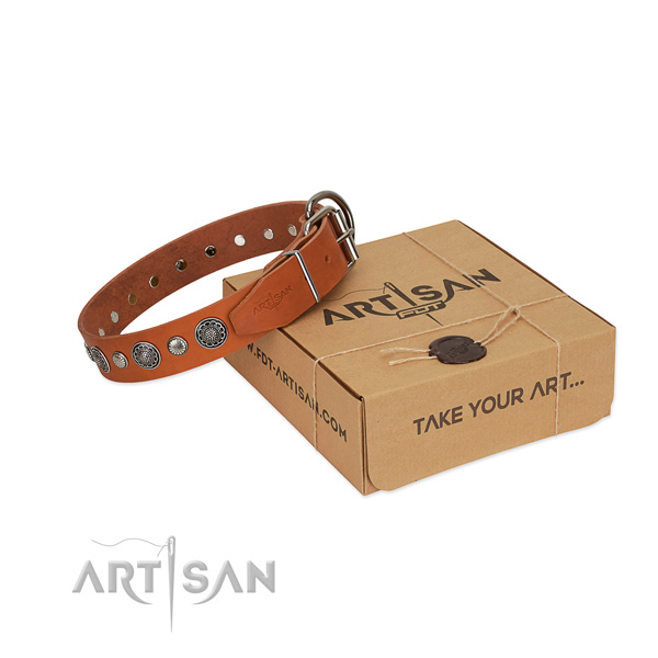 Leather collar with reliable hardware for your handsome doggie