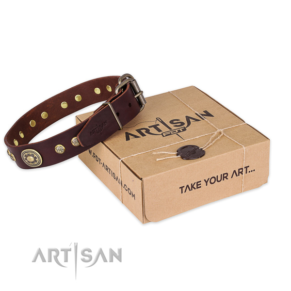 Corrosion proof buckle on natural leather dog collar for easy wearing