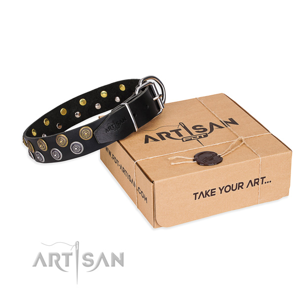 Daily use dog collar of finest quality full grain genuine leather with adornments