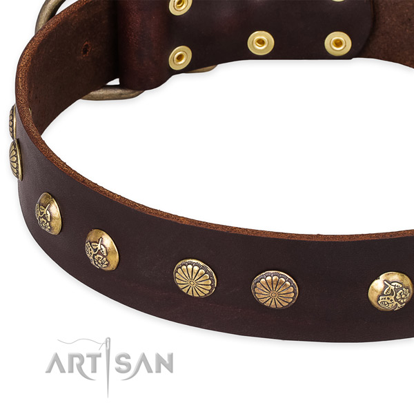 Full grain natural leather collar with durable traditional buckle for your beautiful dog