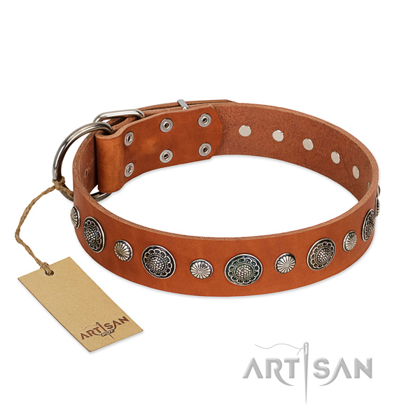 Quality leather dog collar with rust-proof hardware