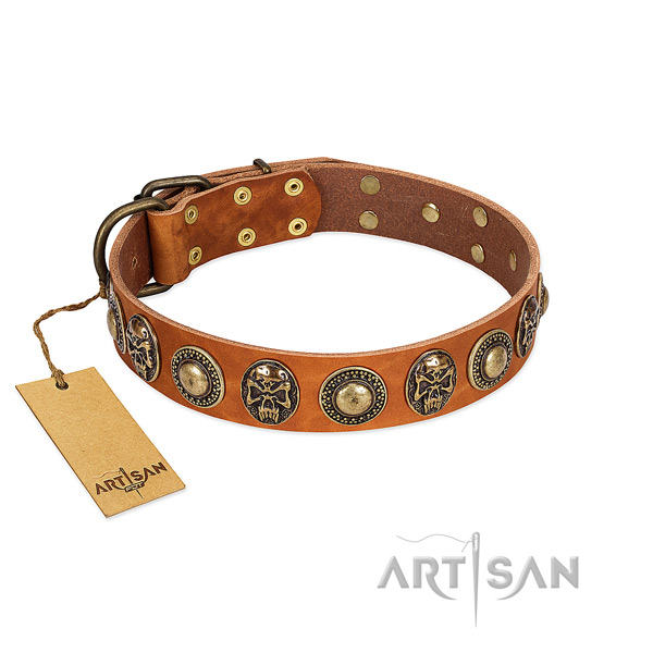 Easy to adjust full grain natural leather dog collar for stylish walking your four-legged friend