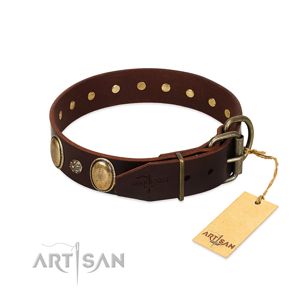 Daily walking high quality full grain natural leather dog collar