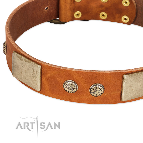 Rust-proof embellishments on full grain genuine leather dog collar for your dog