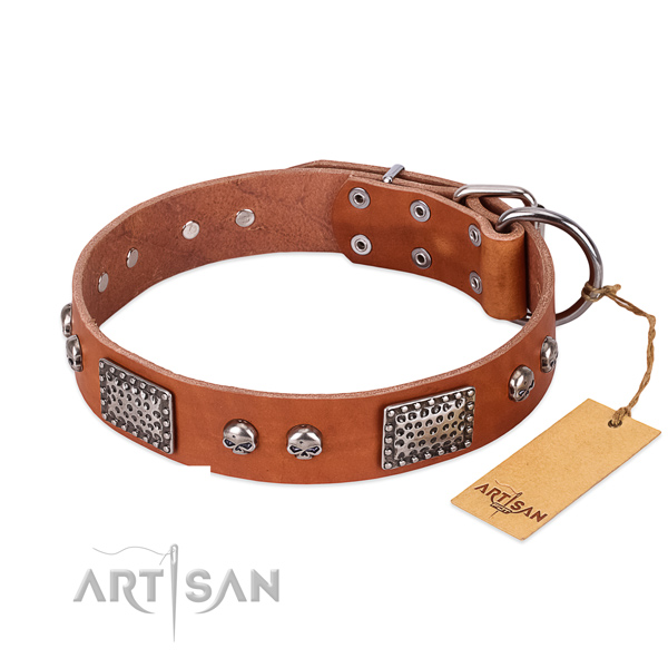 Easy wearing leather dog collar for walking your dog