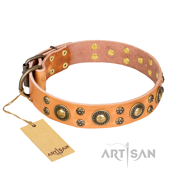 Walking dog collar of top notch full grain leather with adornments