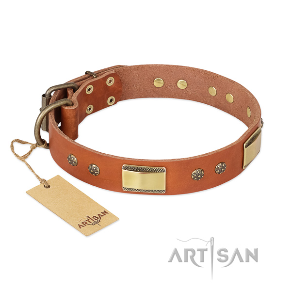 Easy wearing full grain leather collar for your pet