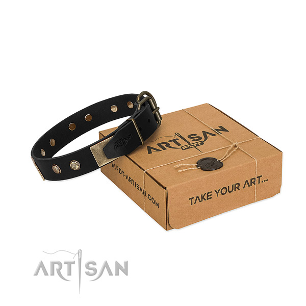 Durable adornments on dog collar for daily walking