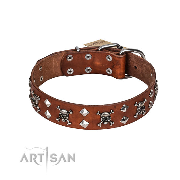 Everyday use dog collar of finest quality full grain genuine leather with decorations