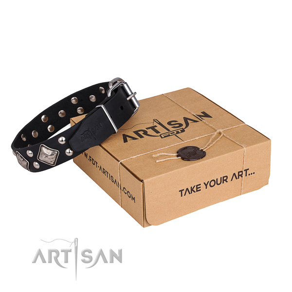 Stylish walking dog collar with Remarkable corrosion resistant studs
