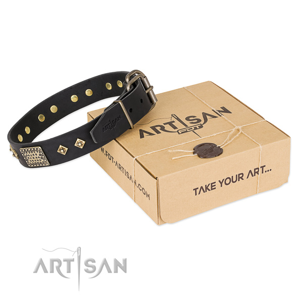 Exquisite full grain leather collar for your stylish four-legged friend
