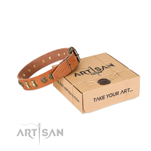 Rust resistant decorations on full grain leather dog collar for your dog