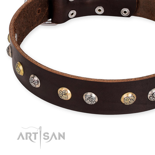 Genuine leather dog collar with unique rust resistant adornments
