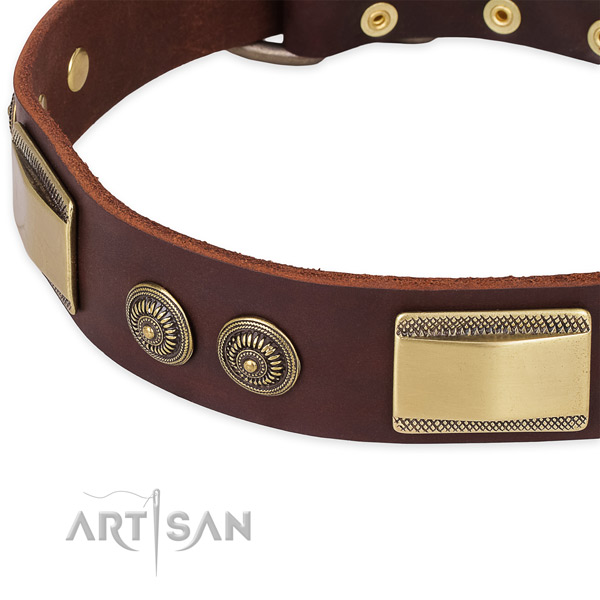 Significant leather collar for your handsome pet