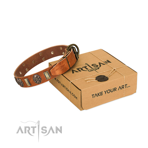 Rust-proof hardware on full grain leather dog collar for stylish walking