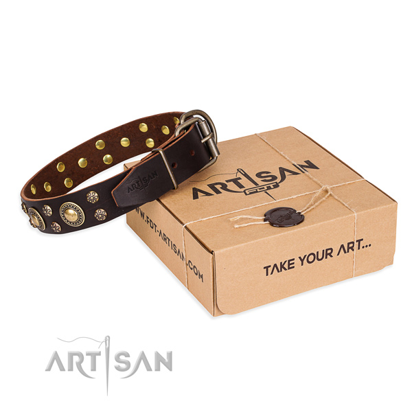Daily use dog collar of best quality full grain genuine leather with embellishments