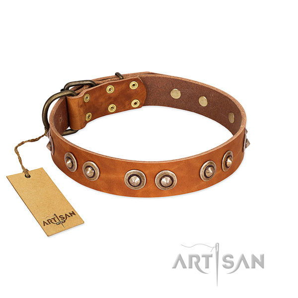 Rust resistant hardware on leather dog collar for your four-legged friend