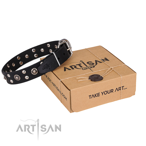Everyday walking dog collar with Unique reliable adornments