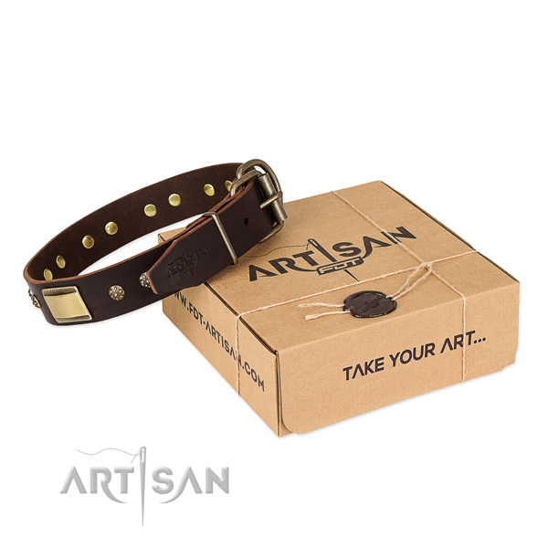 Studded full grain natural leather collar for your attractive pet