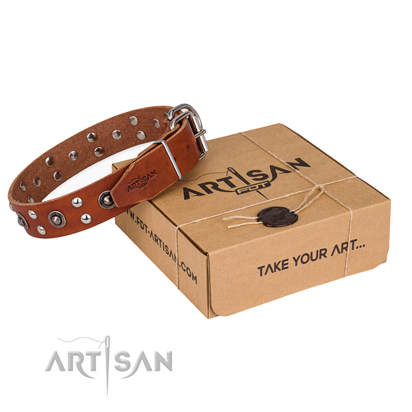Strong hardware on genuine leather collar for your impressive doggie