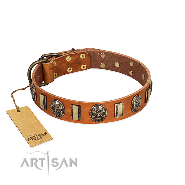 Incredible full grain natural leather dog collar for comfortable wearing