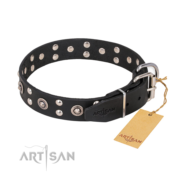 Full grain natural leather dog collar with inimitable strong adornments