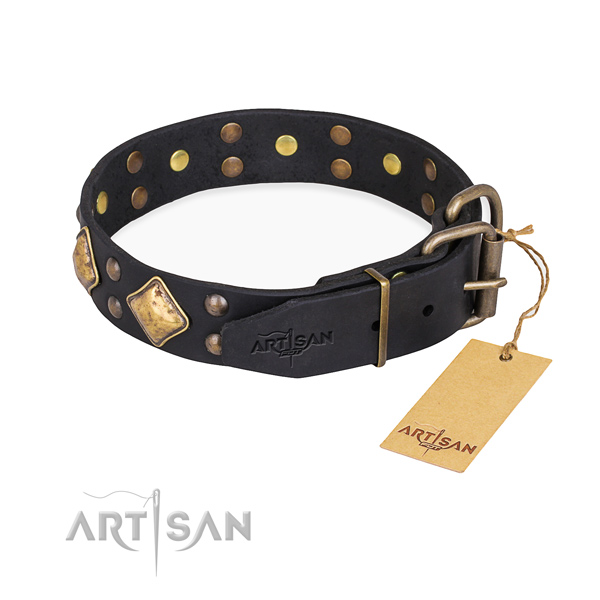Full grain leather dog collar with stylish design reliable decorations