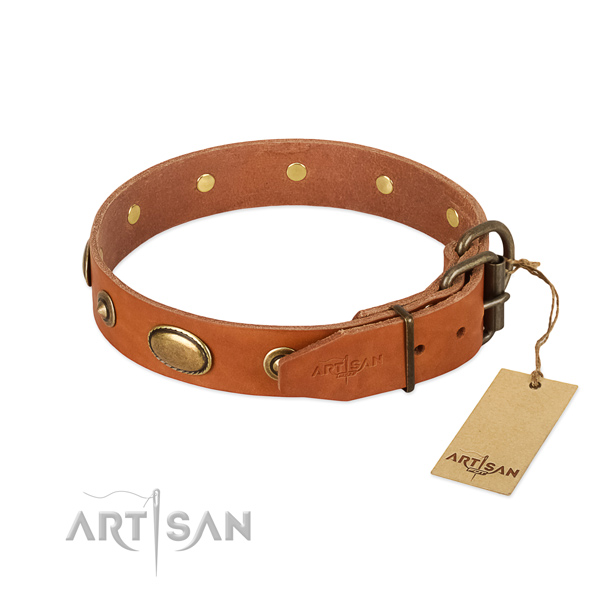 Reliable decorations on leather dog collar for your canine