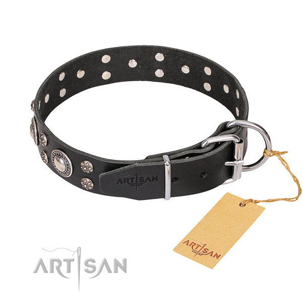 Everyday walking studded dog collar of best quality leather