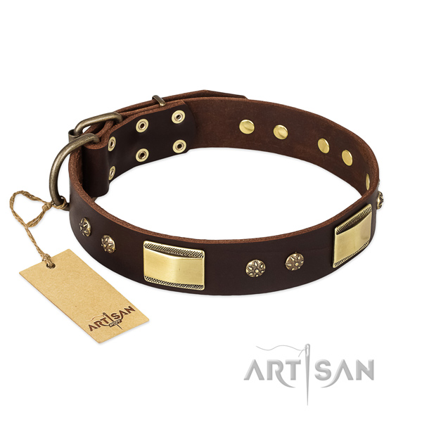 Full grain leather dog collar with rust-proof buckle and embellishments