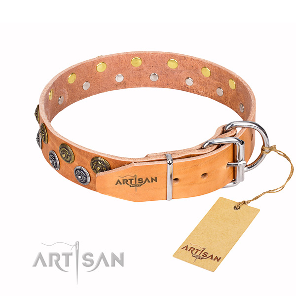 Stylish walking studded dog collar of strong natural leather