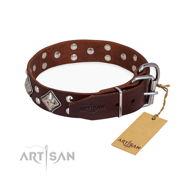 Natural leather dog collar with trendy strong studs